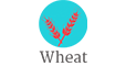 Wheat | Pat The Baker